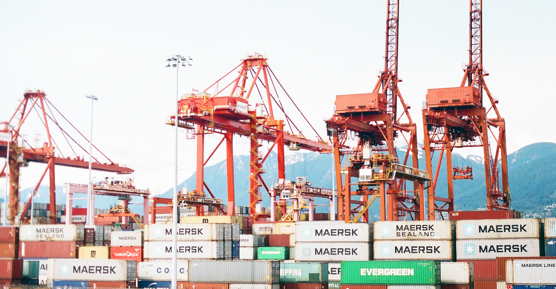 trade-financing-vs-traditional-loans-which-is-right-for-your-business